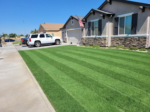 Robust Bermuda sod ideal for high-traffic lawns, showing fine texture and deep green color in sunlight.