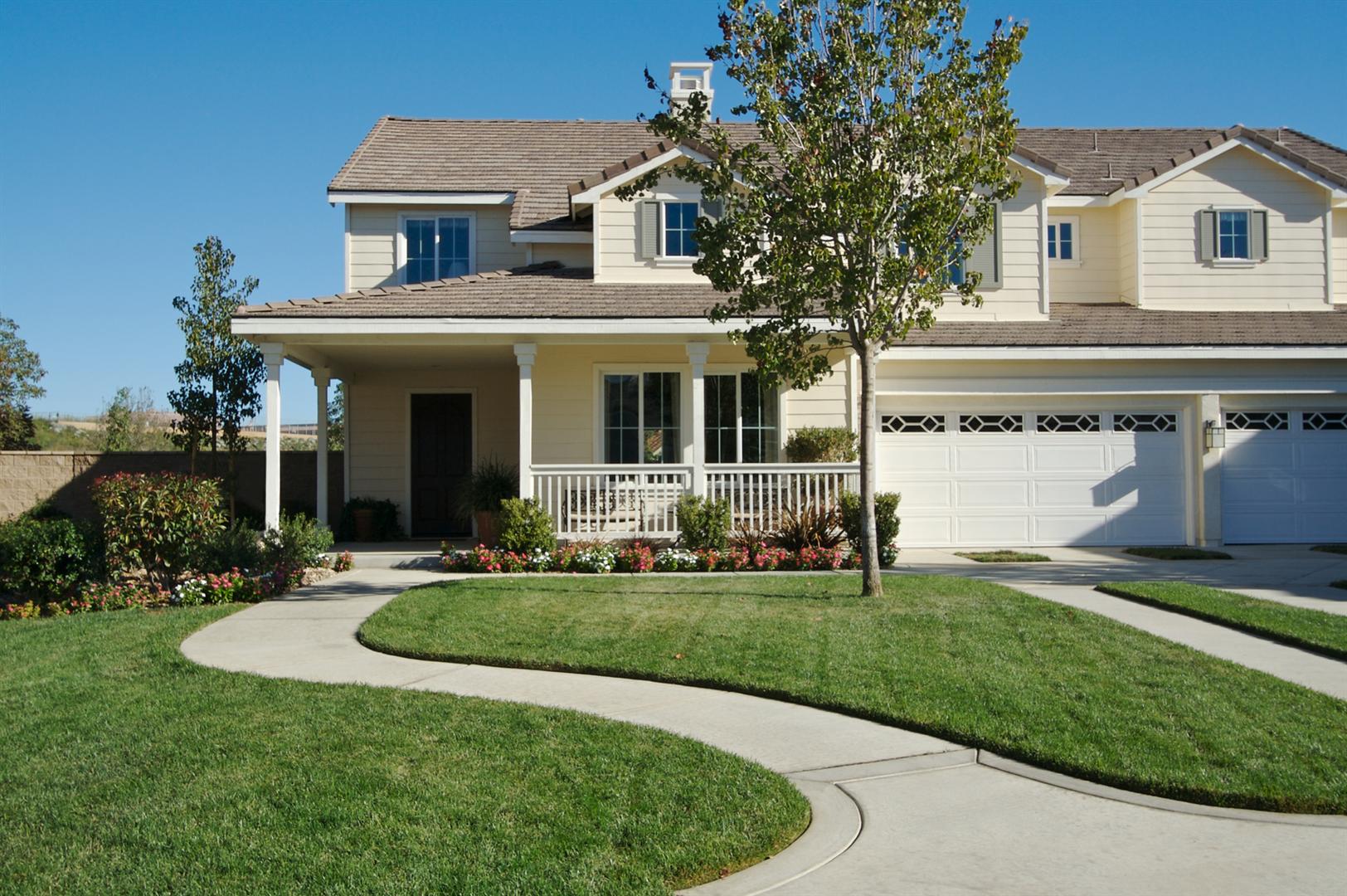 Bitter Blue sod displaying deep blue-green blades, offering a sophisticated and dense growth for lawns.