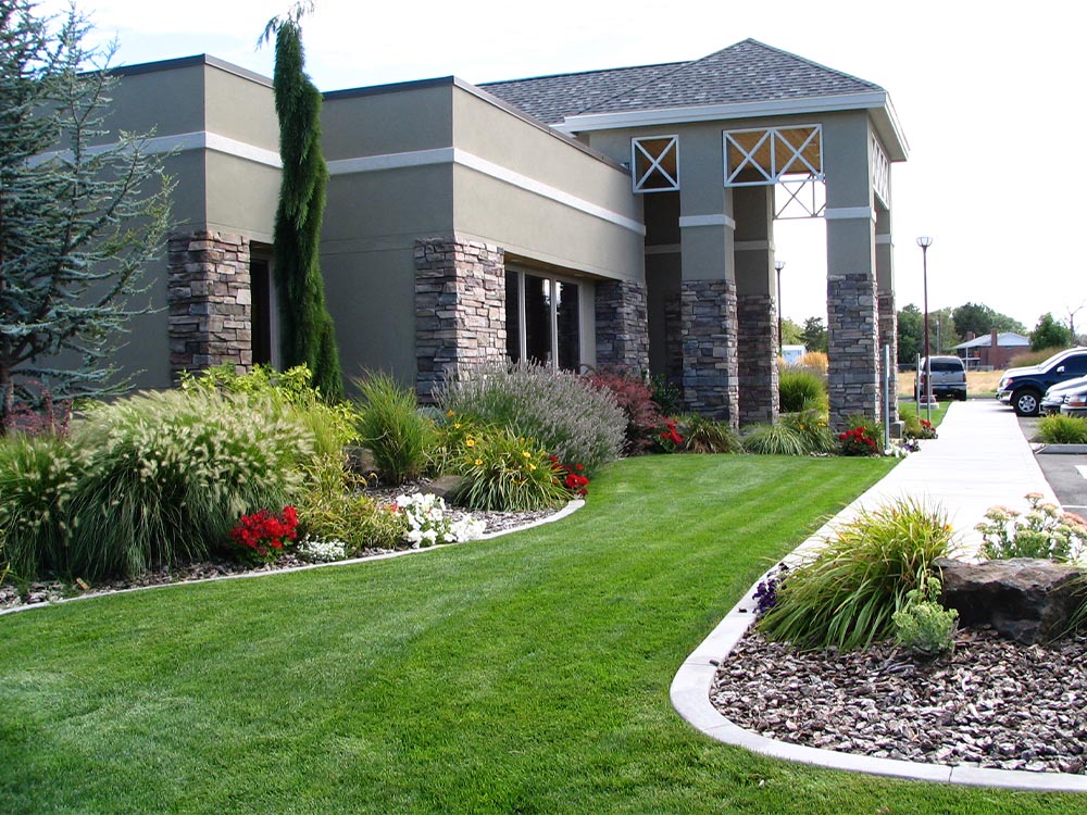 Close-up view of high-quality, lush green sod from Lakeland Sod Pros, representing their commitment to quality assurance in sod products.