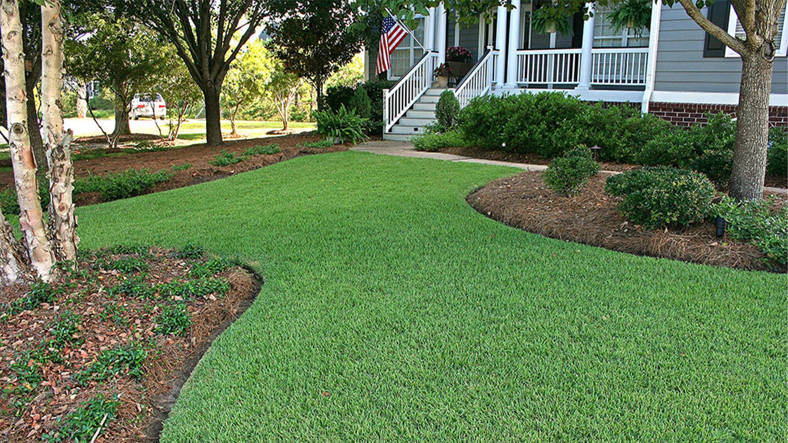 Vibrant green Zoysia sod, known for its resilience and beauty, perfect for creating dense, soft lawns.